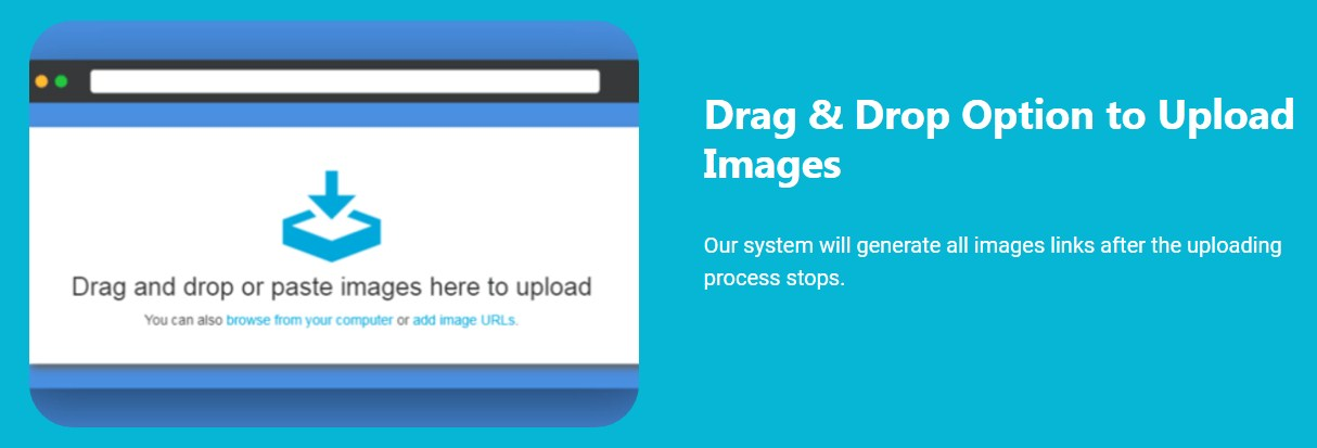 ShareMy Image drag & drop options